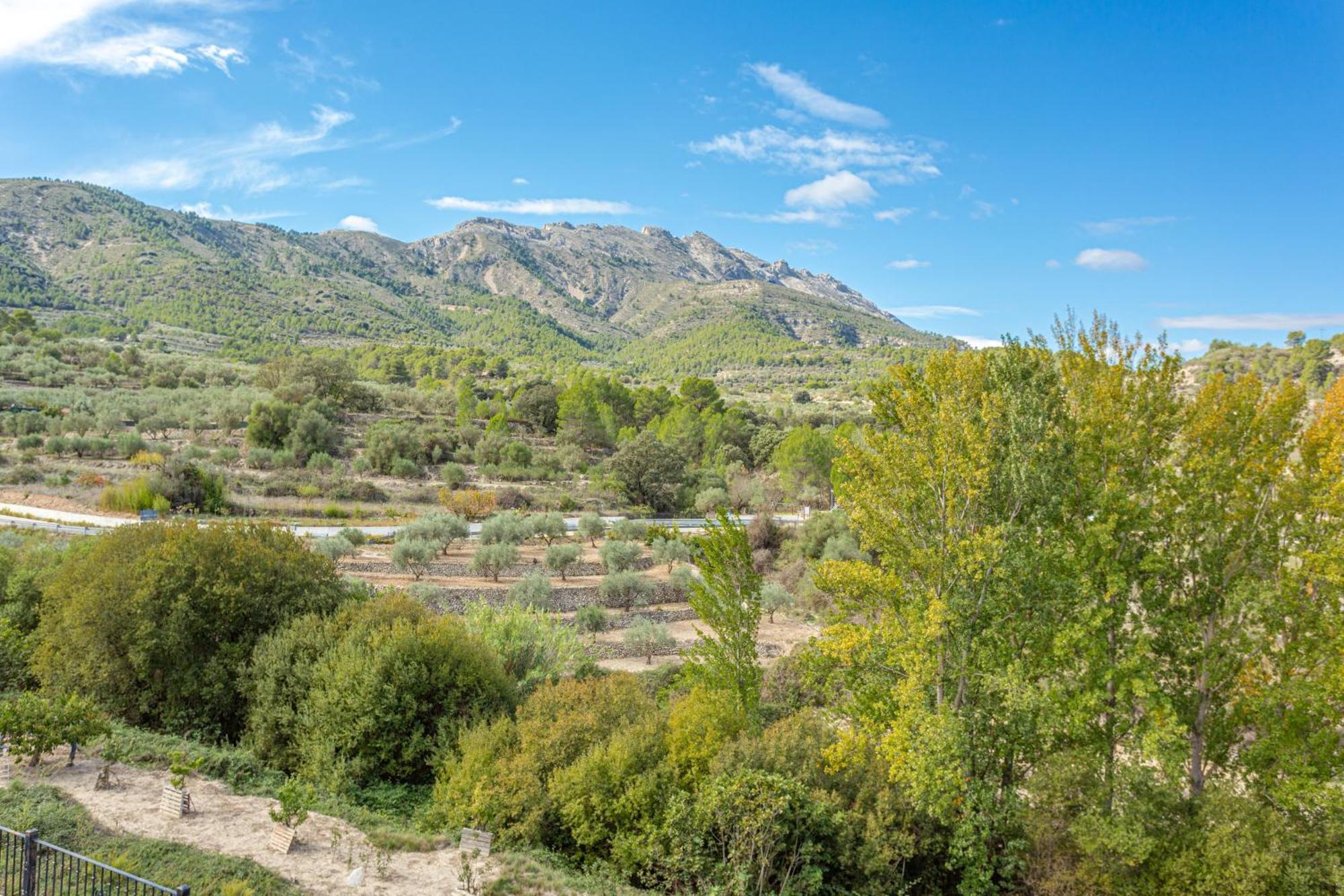 Hotel Rural Serrella Castell De Castells Exterior foto